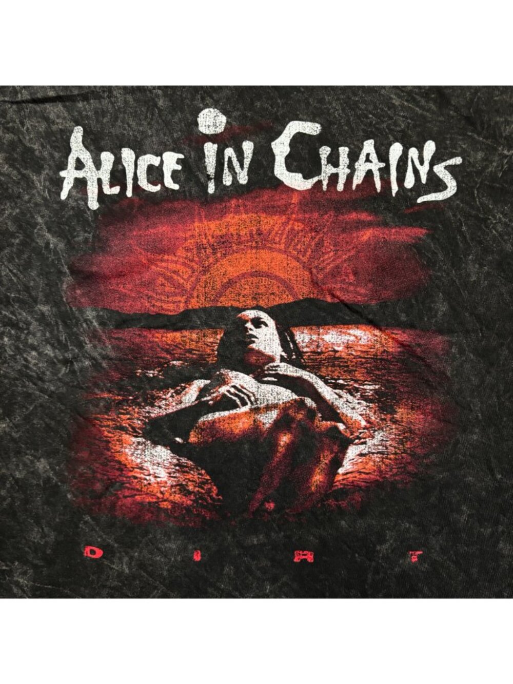 Alice In Chains Dirt Est 1987 Heavy Metal Band Mineral Wash T-Shirt Size 2X - Picture 2 of 4